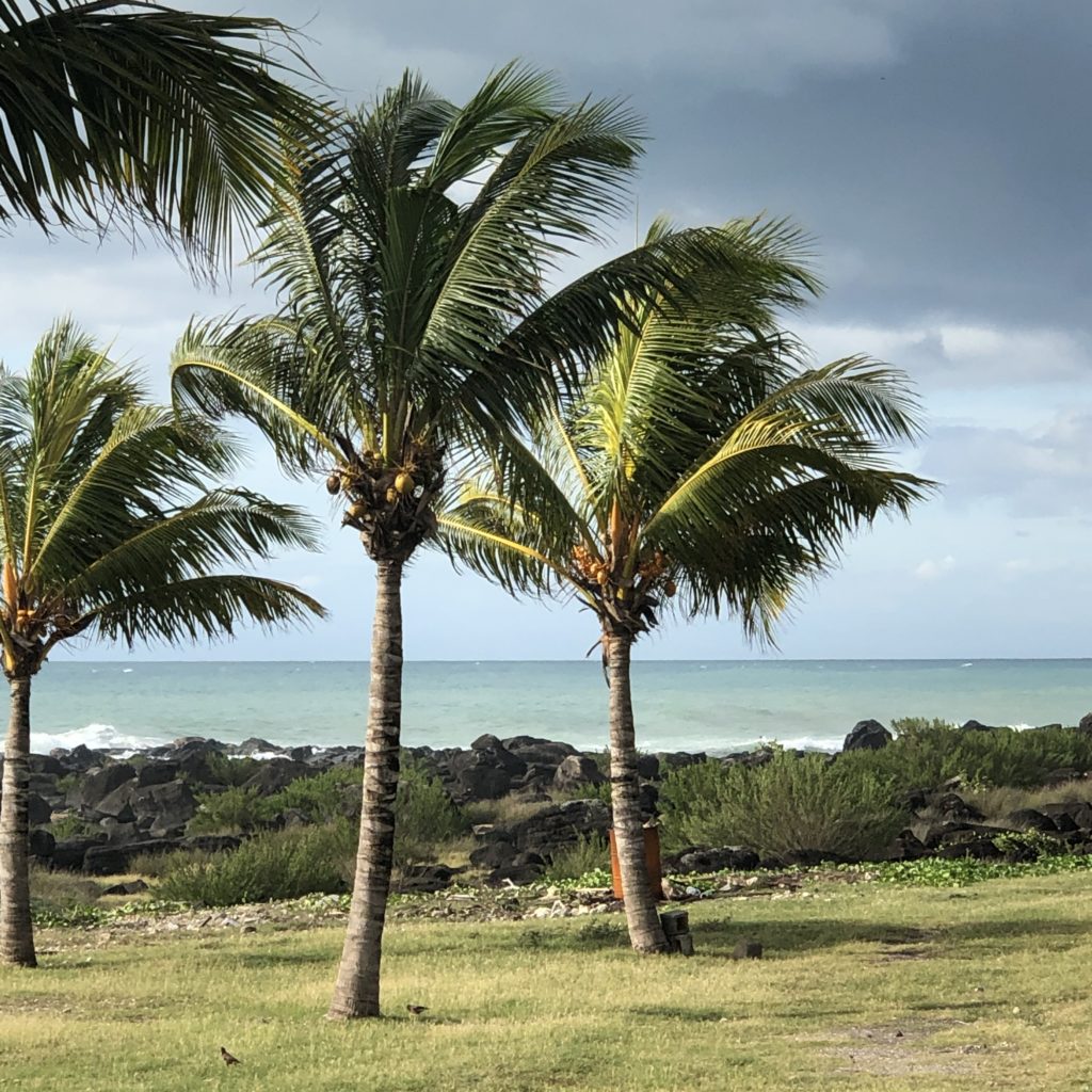 Containerkläranlage ClearFox®