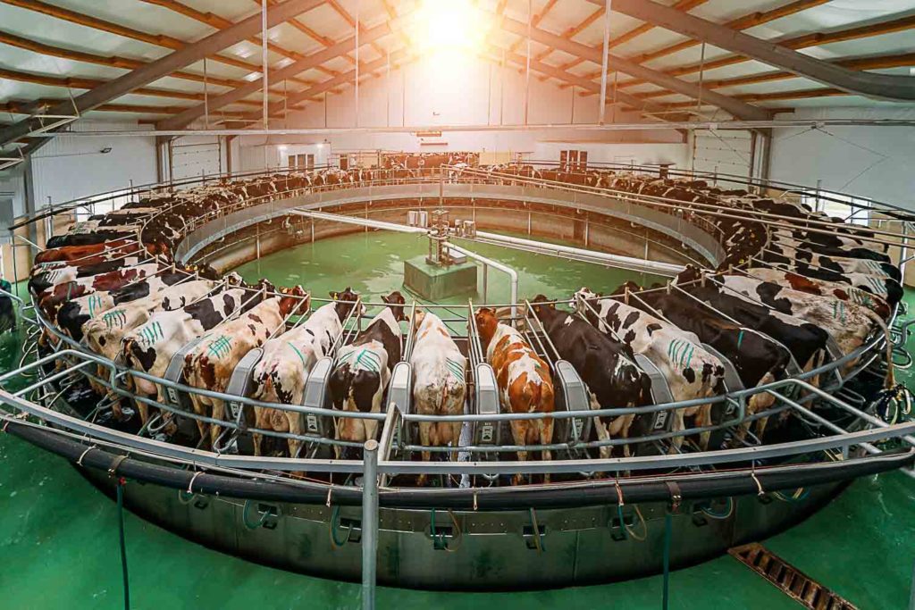 Dairy wastewater treatment plant design