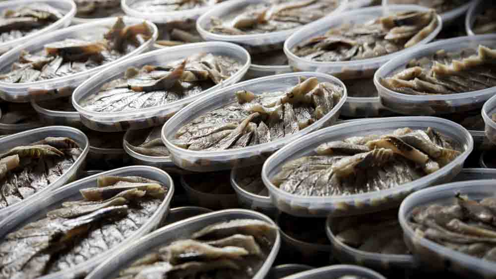 fish industry wastewater treatment