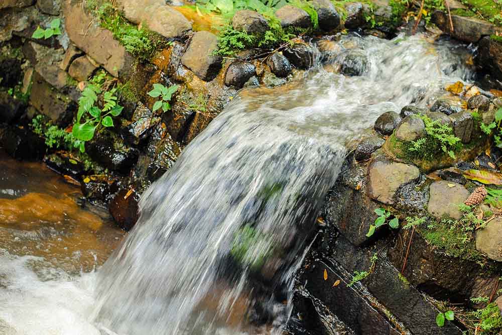 ClearFox environmental sustainability