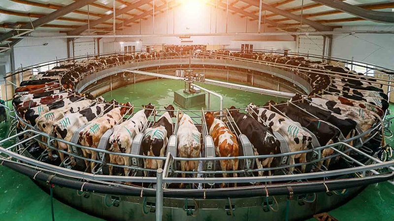 Dairy wastewater treatment plant design