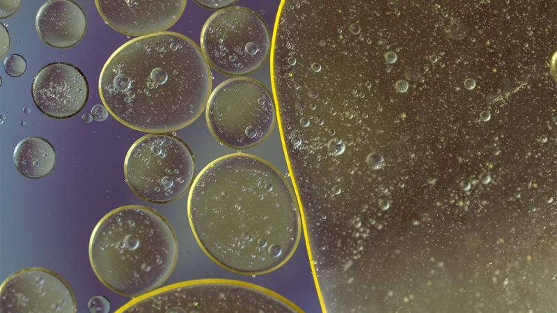 ClearFox FOG management