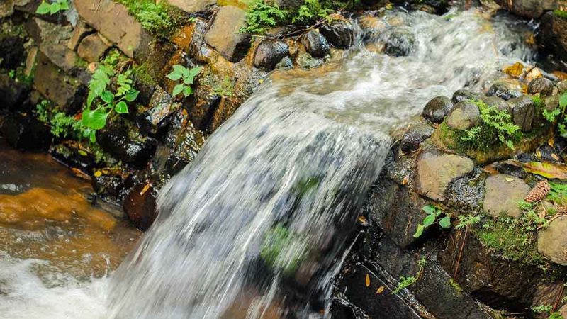 ClearFox environmental sustainability