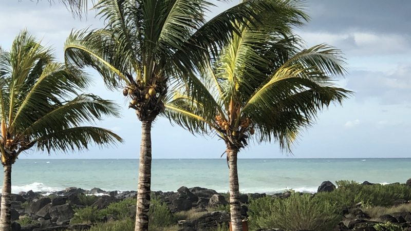 Containerkläranlage ClearFox®