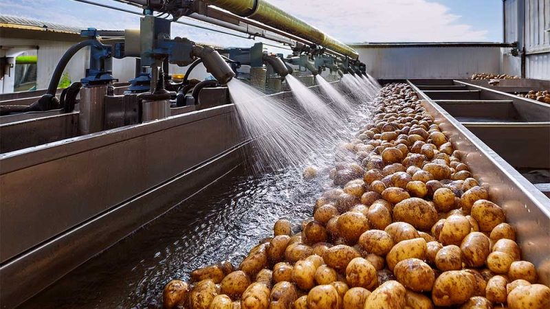 Potato washing wastewater treatment