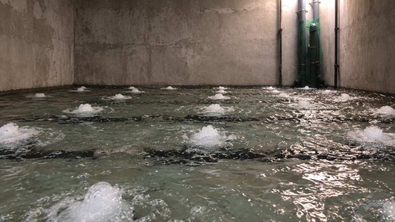 SBR reactor in a concrete tank with air rising through the water