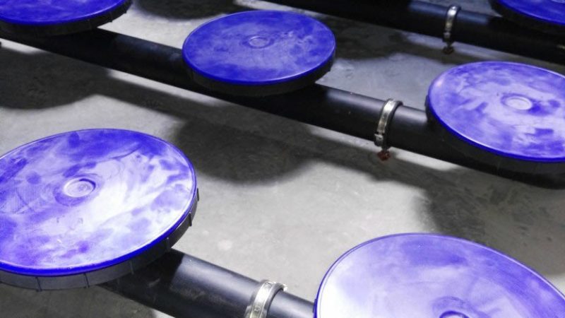 SBR technology for wastewater treatment in meat industry